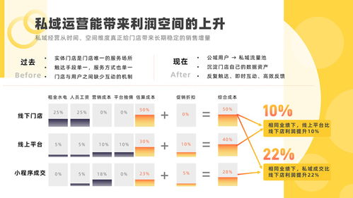 软件运营服务公司产品介绍ppt模板
